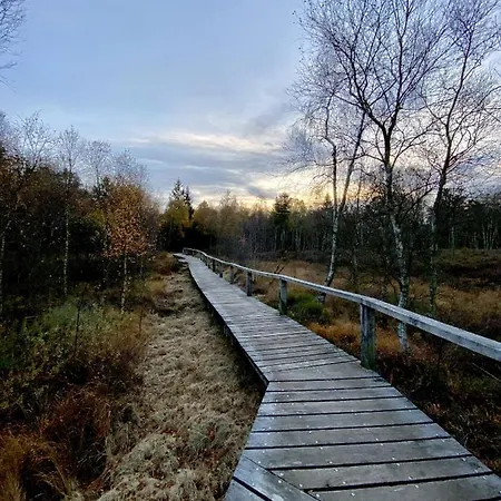 Hotel Landhaus Sollingshoehe *
