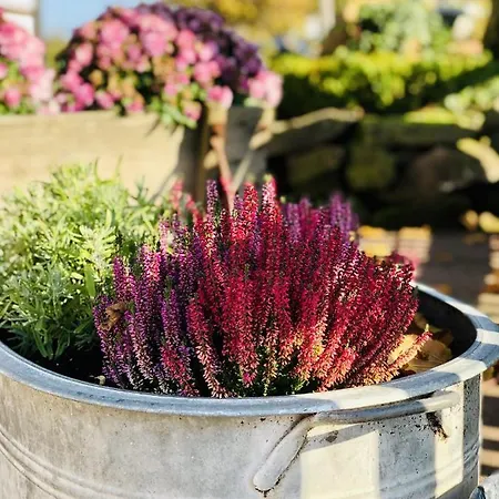 Landhaus Sollingshoehe Holzminden