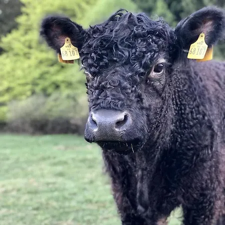 Landhaus Sollingshoehe