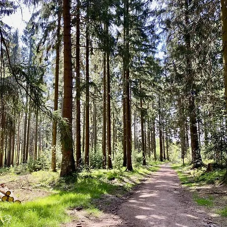 Hotel Landhaus Sollingshoehe Holzminden
