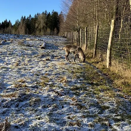 Hotel Landhaus Sollingshoehe Holzminden